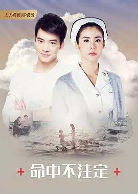 命中不注定普通话版